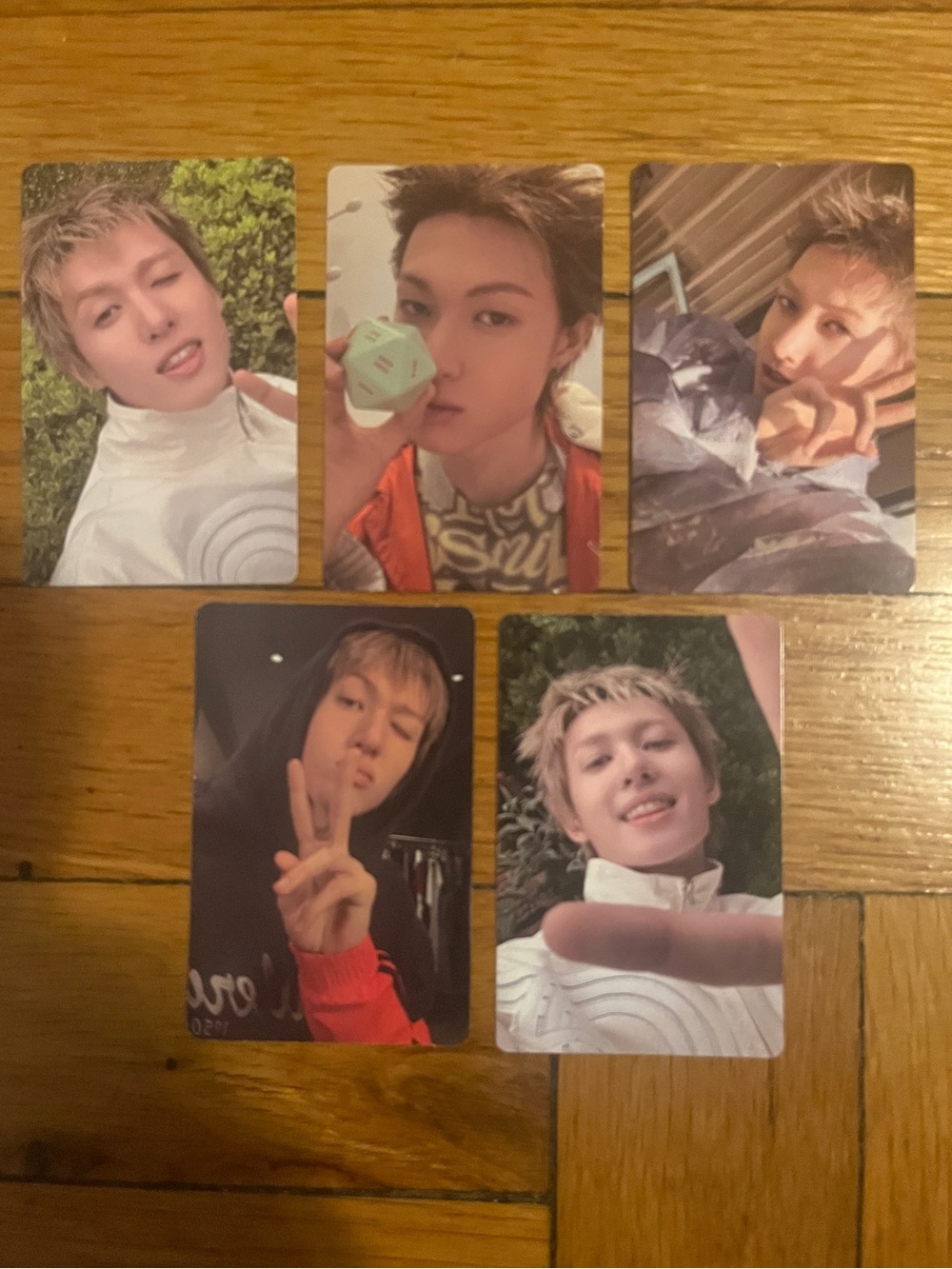 Set of 5 OFFICIAL Martin of Cortis photocards (set #2)